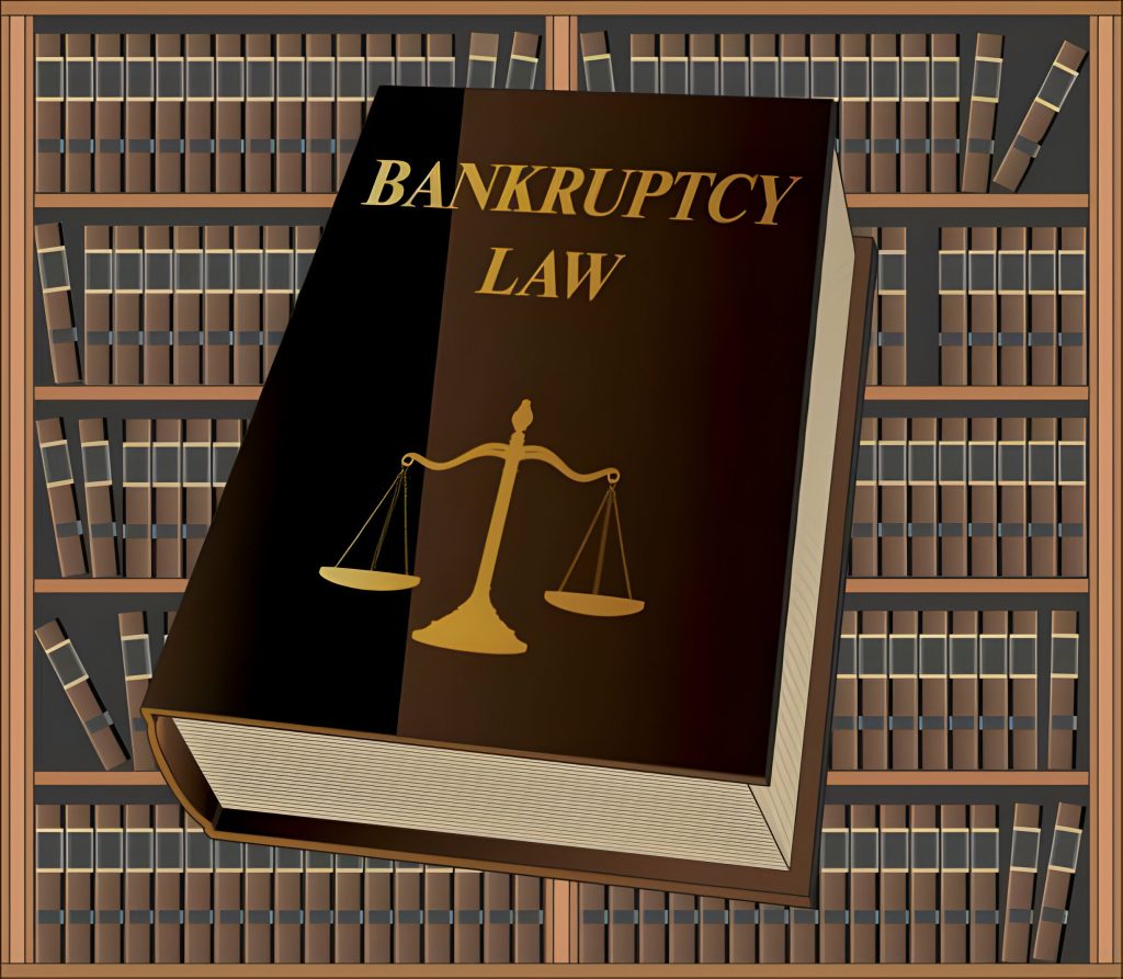 What is the US federal bankruptcy law?